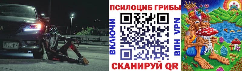 Купить где  Петухово  Галлюциногенные грибы Cubensis 